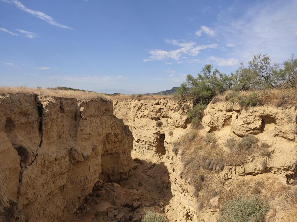 فيلا El Pinar De Bardena Carcastillo المظهر الخارجي الصورة