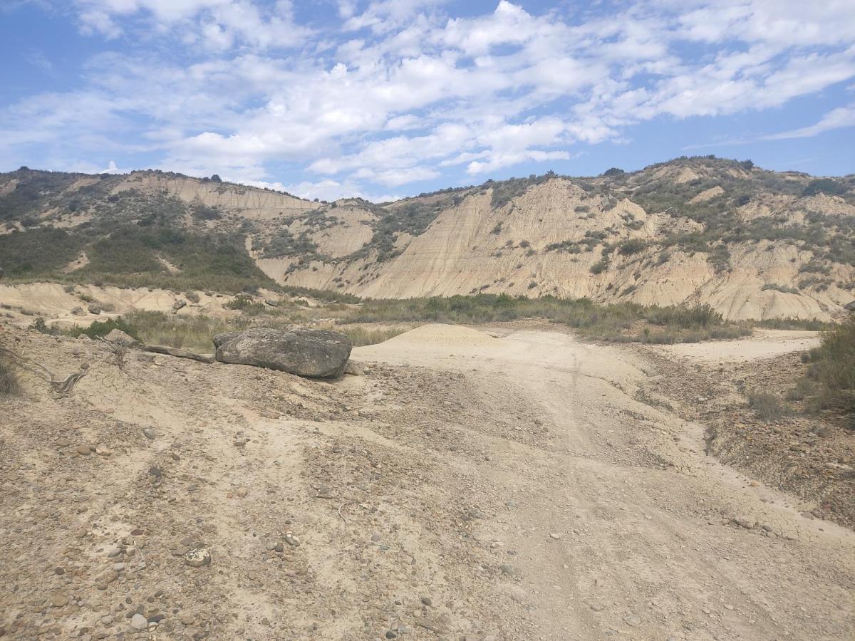 فيلا El Pinar De Bardena Carcastillo المظهر الخارجي الصورة