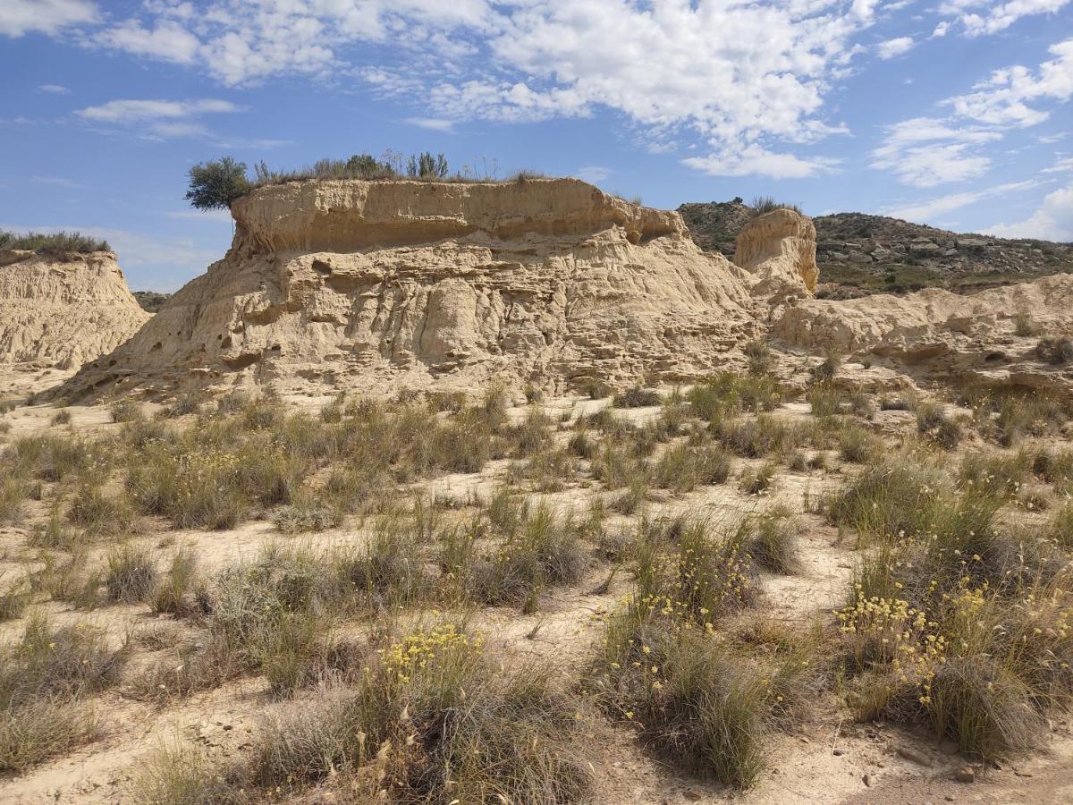 فيلا El Pinar De Bardena Carcastillo المظهر الخارجي الصورة