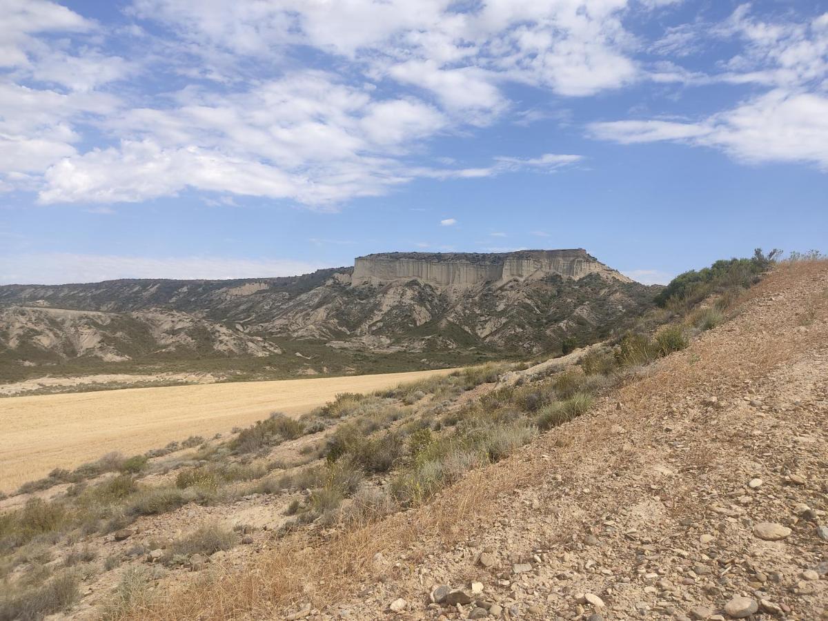 فيلا El Pinar De Bardena Carcastillo المظهر الخارجي الصورة