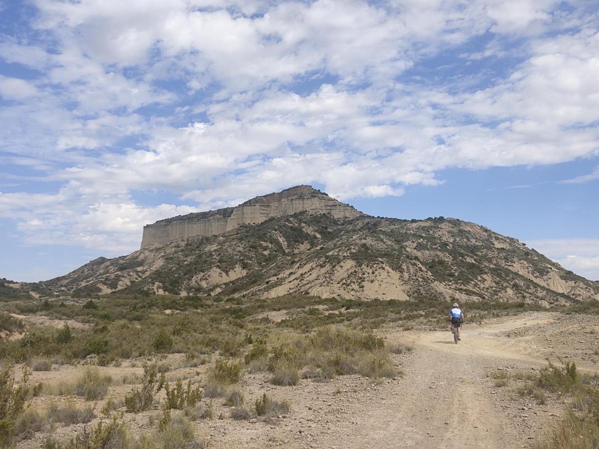فيلا El Pinar De Bardena Carcastillo المظهر الخارجي الصورة