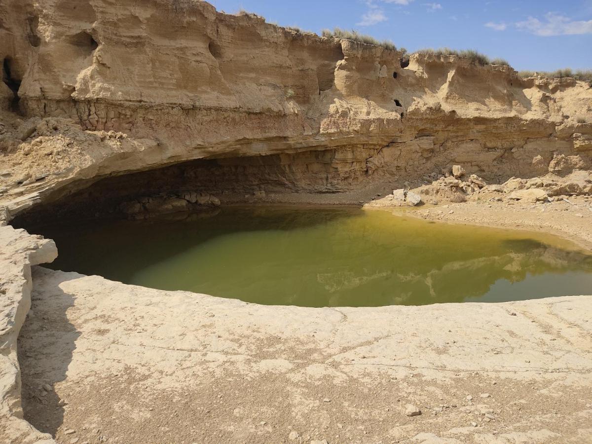 فيلا El Pinar De Bardena Carcastillo المظهر الخارجي الصورة