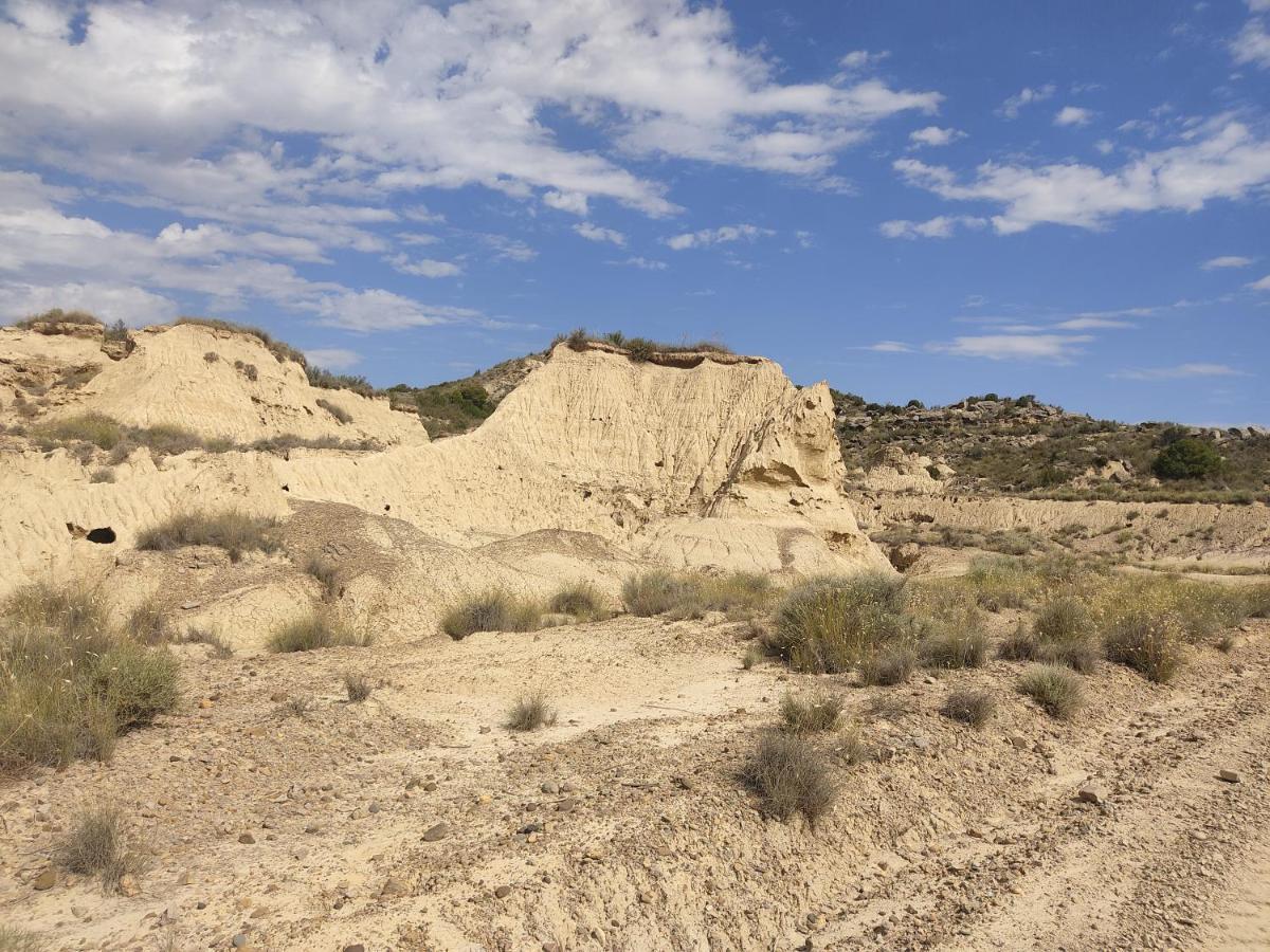 فيلا El Pinar De Bardena Carcastillo المظهر الخارجي الصورة